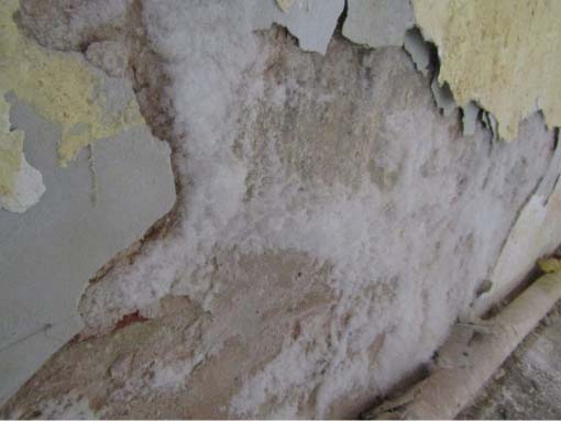 ÐÐ±Ð»ÐµÐ´ÐµÐ½ÐµÐ½Ð¸Ðµ ÑÑÐµÐ½