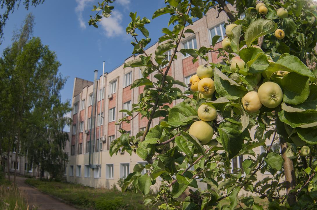 Больница в Шуе